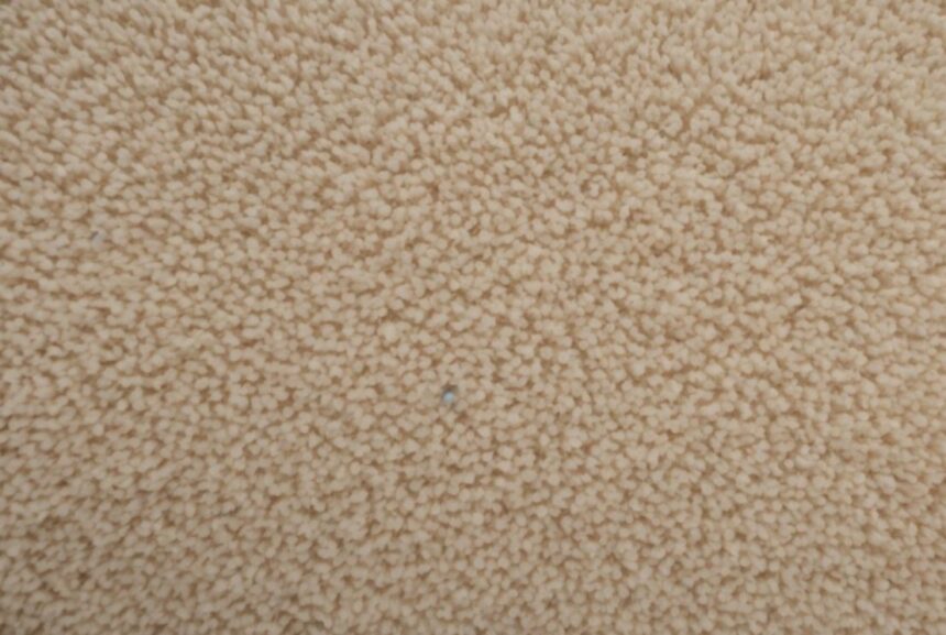 Can I Carpet Clean A Mattress