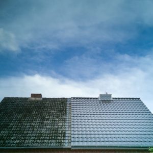 How To Clean Roof With Moss